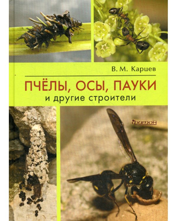 Пчелы, осы, пауки и другие строители