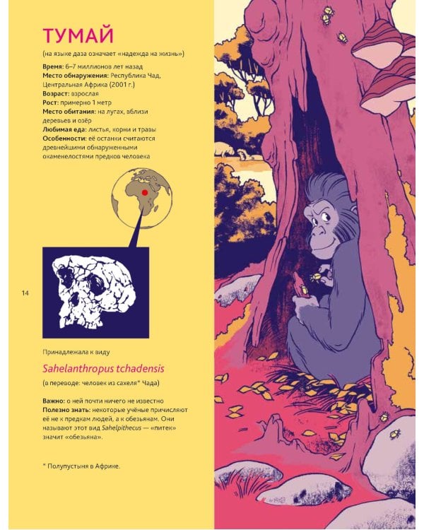 Путешествие во времени. Эволюция человека: комикс