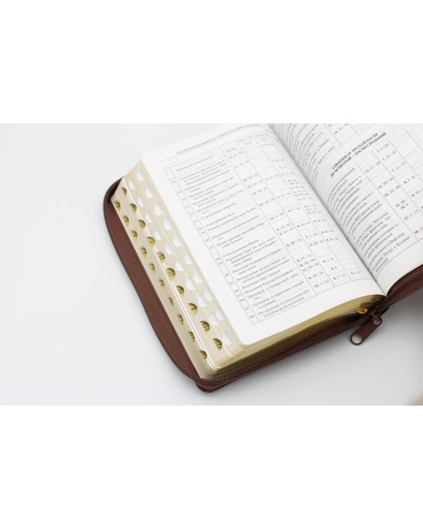 Библия. Книги Священного Писания Ветхого и Нового Завета (рециклированная кожа коричневая, молния, золот.обрез)
