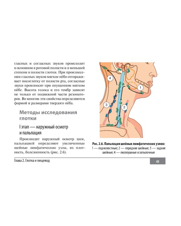 Клинические нормы. Оториноларингология