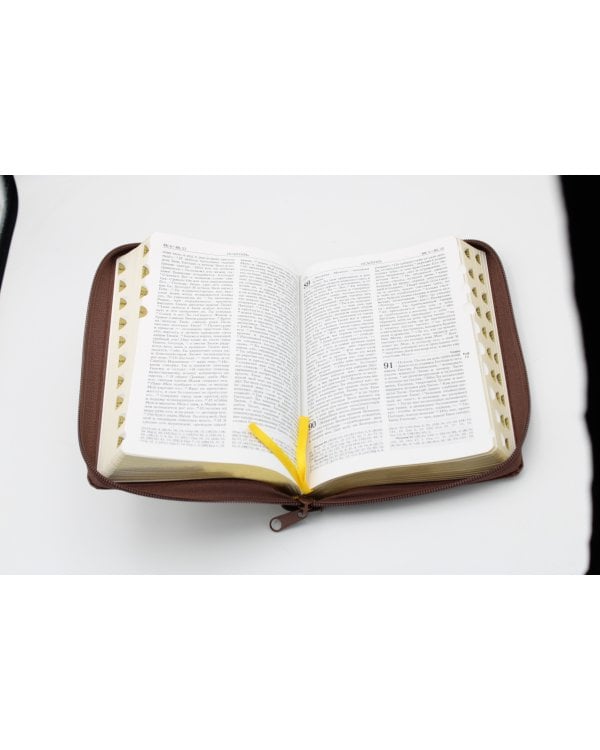 Библия. Книги Священного Писания Ветхого и Нового Завета (рециклированная кожа коричневая, молния, золот.обрез)
