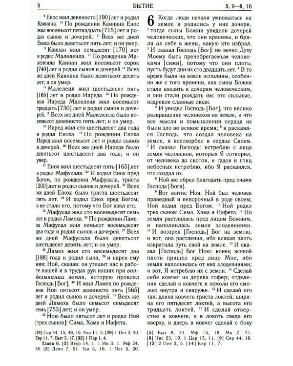 Библия. Книги Священного Писания Ветхого и Нового Завета (рециклированная кожа коричневая, молния, золот.обрез)