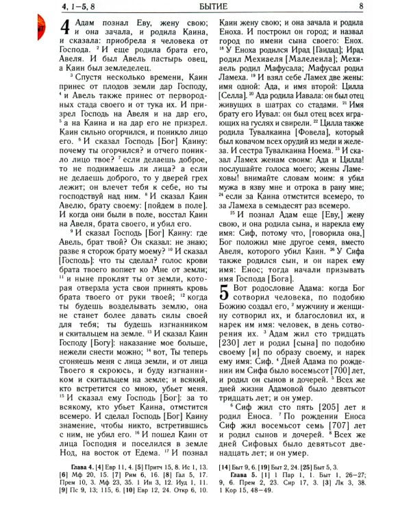 Библия. Книги Священного Писания Ветхого и Нового Завета (рециклированная кожа коричневая, молния, золот.обрез)