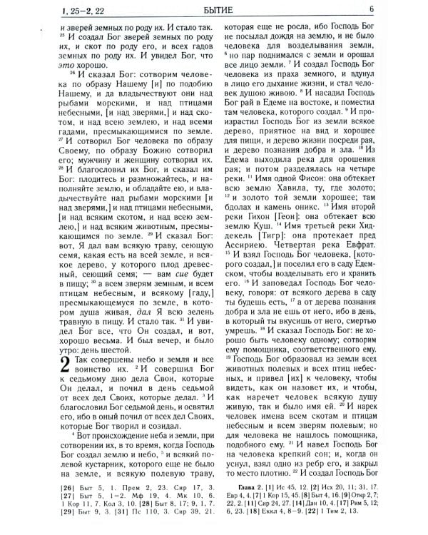 Библия. Книги Священного Писания Ветхого и Нового Завета (рециклированная кожа коричневая, молния, золот.обрез)