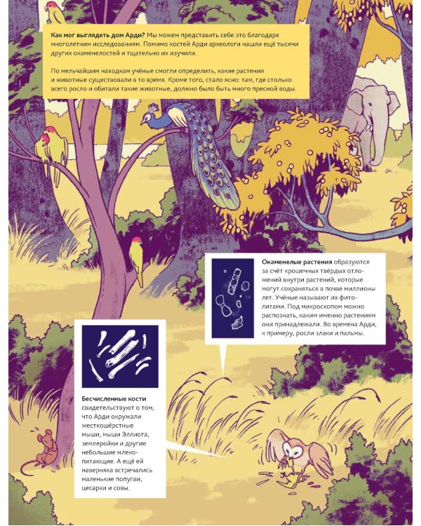 Путешествие во времени. Эволюция человека: комикс