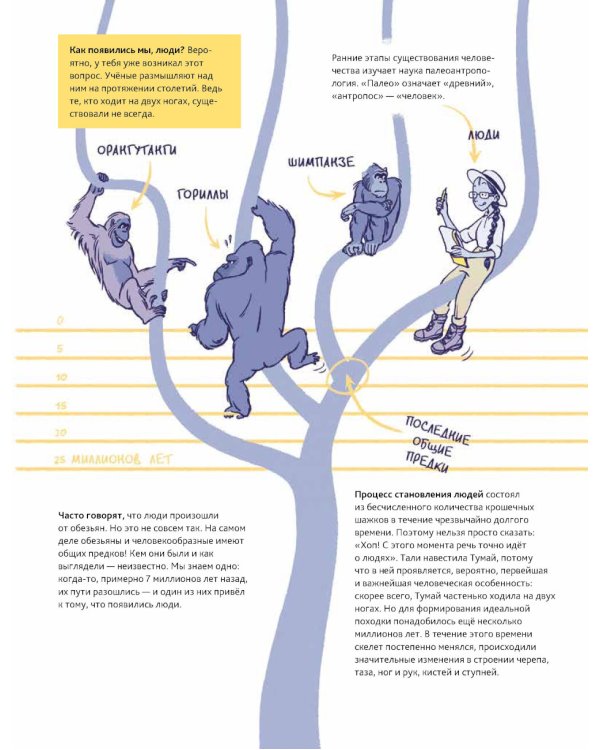 Путешествие во времени. Эволюция человека: комикс