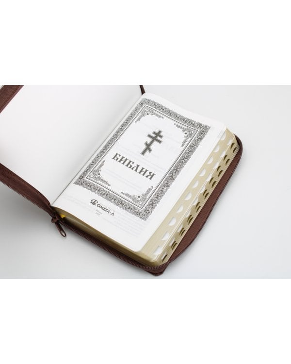 Библия. Книги Священного Писания Ветхого и Нового Завета (рециклированная кожа коричневая, молния, золот.обрез)