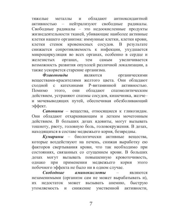 Все о медвежьем корне