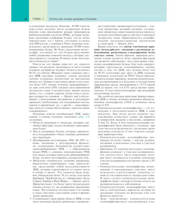 Патологическая анатомия по Роббинсу: Учебник