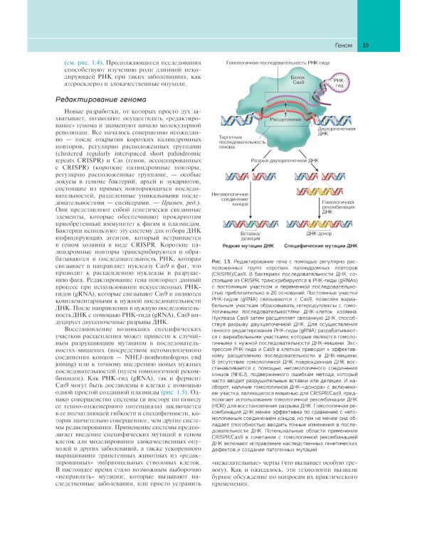Патологическая анатомия по Роббинсу: Учебник
