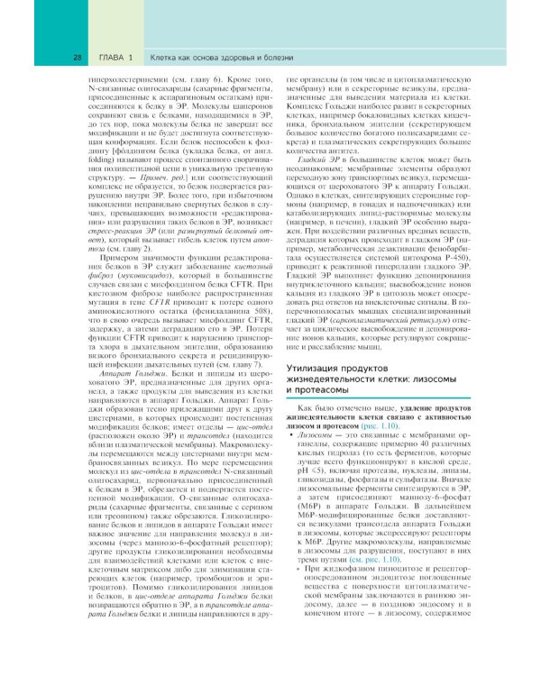 Патологическая анатомия по Роббинсу: Учебник