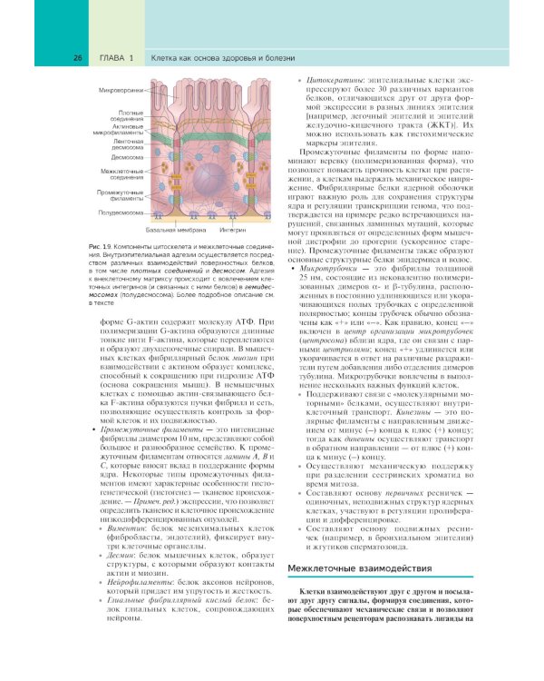 Патологическая анатомия по Роббинсу: Учебник