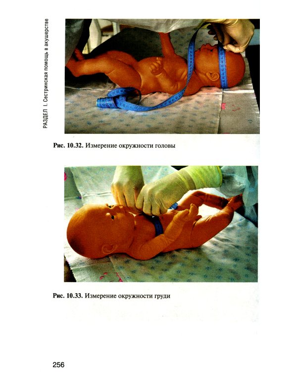Сестринская помощь в акушерстве и при патологии репродуктивной системы у женщин и мужчин: Учебное пособие. 2-е изд., перераб. и доп