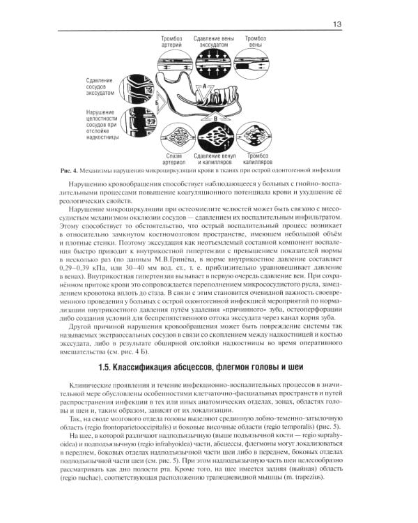 Гнойно-воспалительные  заболевания головы и шеи. Этиология, патогенез, клиника, лечение. 5-е изд