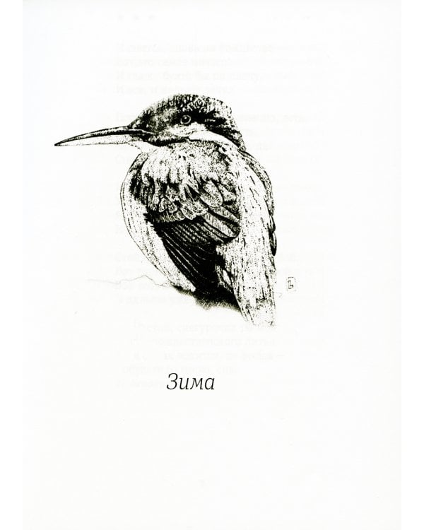 Душа-cоловей: стихотворения