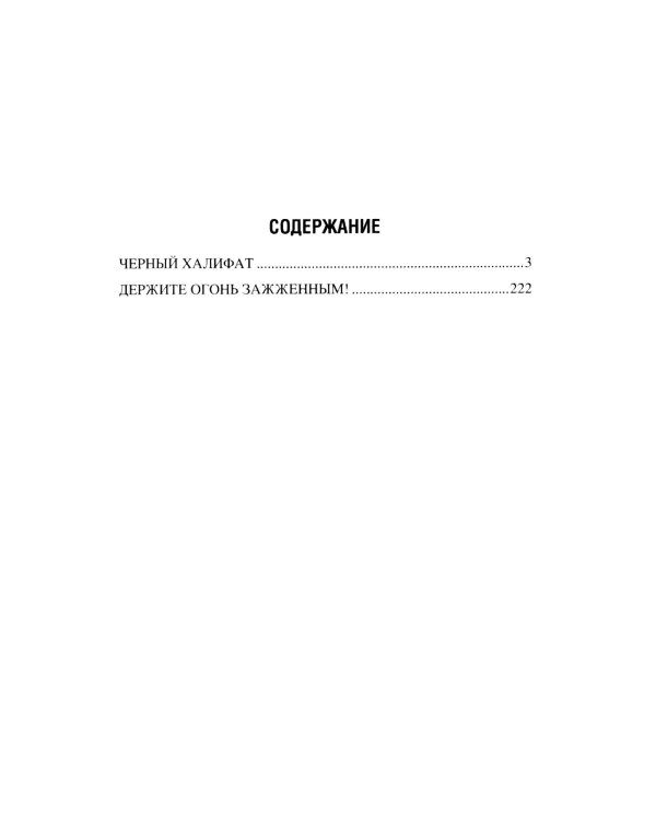 Черный халифат. Держите огонь зажженным: романы