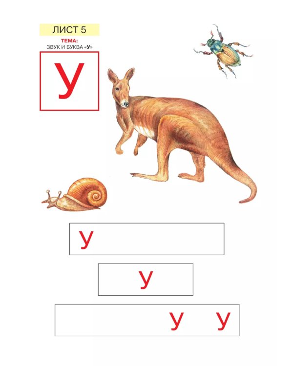 Звуки и буквы. Развитие звуко-буквенного анализа у детей 5-6 лет: демонстрационный материал и учебно-методич. пособие "Звуки и буквы". 4-е изд., стер