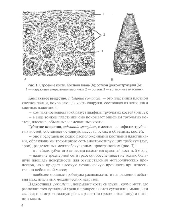 Остеология: Учебное пособие. 14-е изд., перераб. и доп