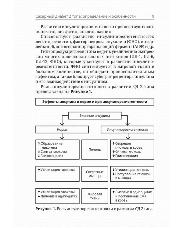 Сахарный диабет 2 типа. Классификация и лечение