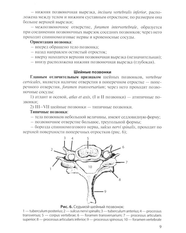 Остеология: Учебное пособие. 14-е изд., перераб. и доп