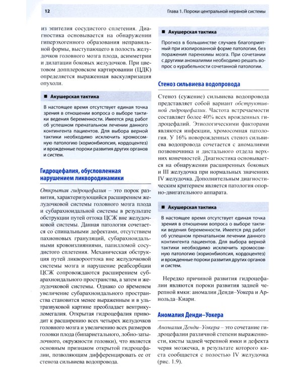 Ультразвуковая диагностика врожденных пороков развития плода