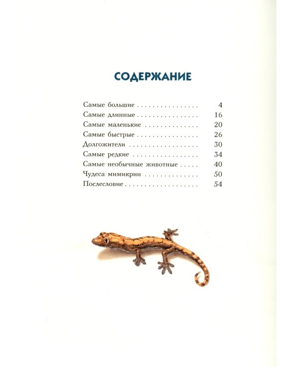 Самые-самые. Животные рекордсмены