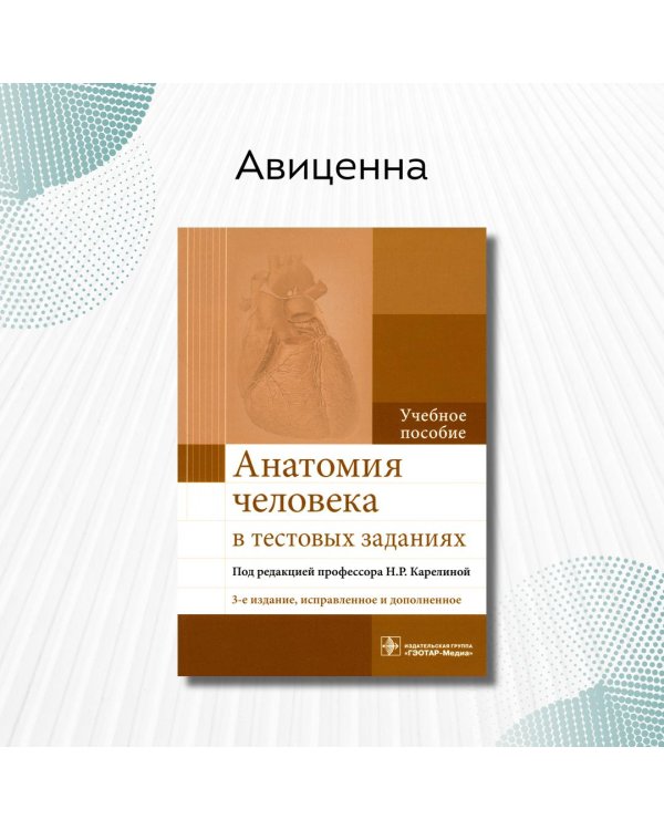 Анатомия человека в тестовых заданиях
