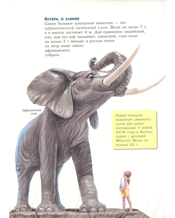 Самые-самые. Животные рекордсмены