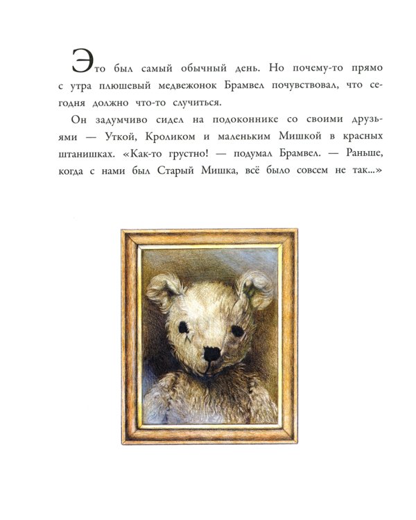 Как помочь Старому Мишке?: сказка