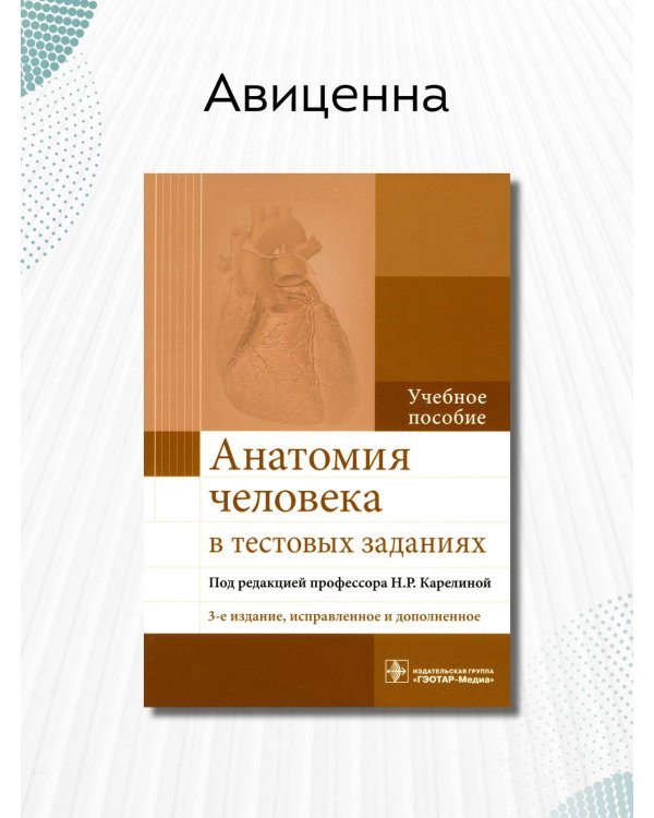 Анатомия человека в тестовых заданиях