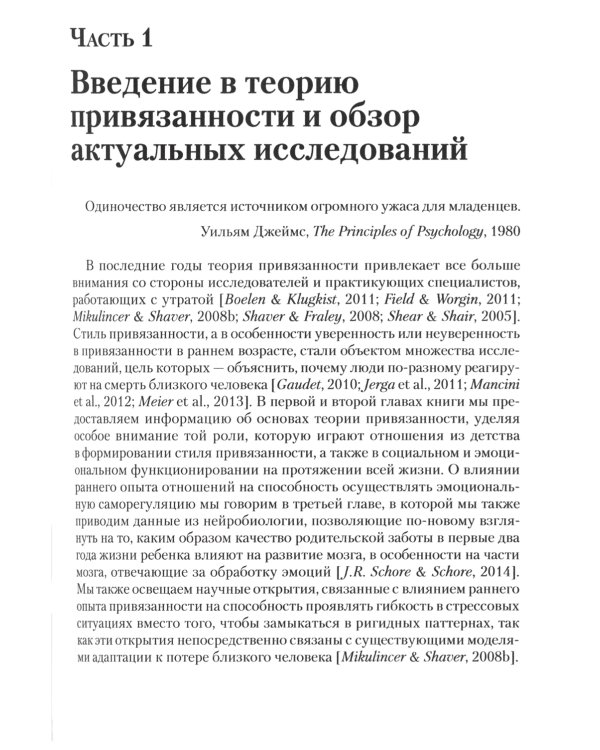Терапия горя, основанная на привязанности. Руководство для практикующих специалистов