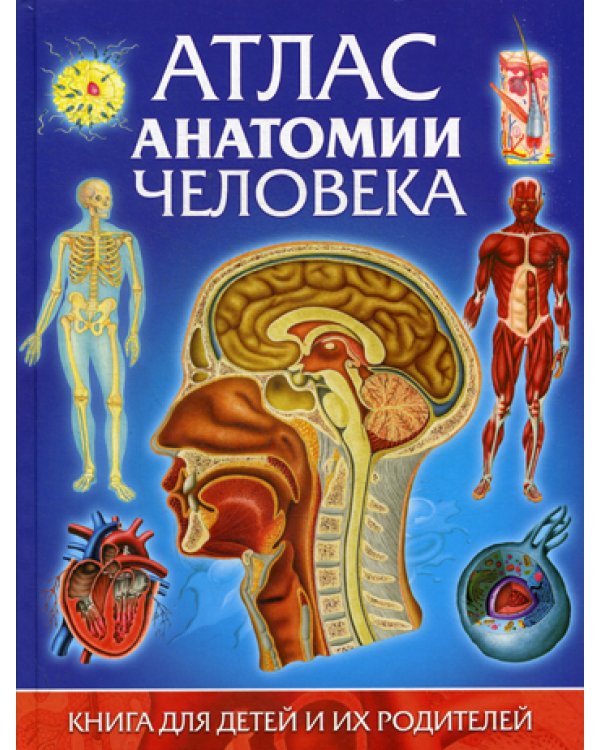 Атлас анатомии человека. Книга для детей и их родителей