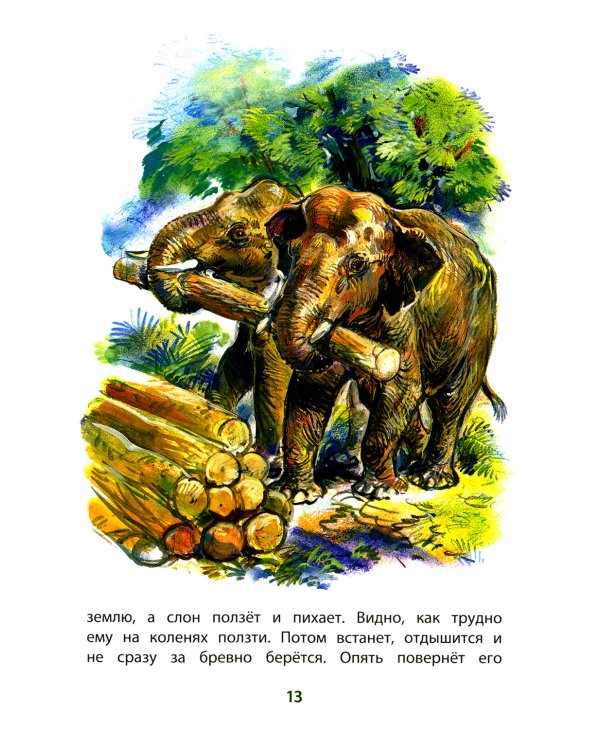 Рассказы о животных