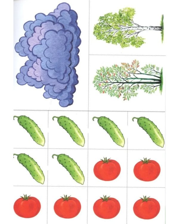Дошкольная математика для детей 5-6 лет с ОВЗ: Альбом упражнений с разрезным раздаточным материалом. 3-й год обучения
