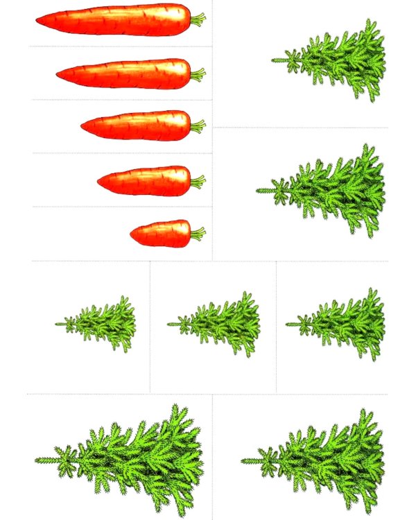 Дошкольная математика для детей 5-6 лет с ОВЗ: Альбом упражнений с разрезным раздаточным материалом. 3-й год обучения