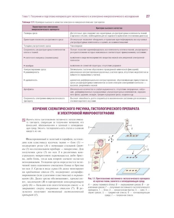 Гистология, цитология и эмбриология. Руководство к практическим занятиям. Атлас: Учебное пособие