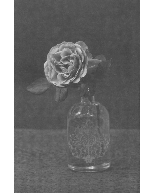 Учебник жизни