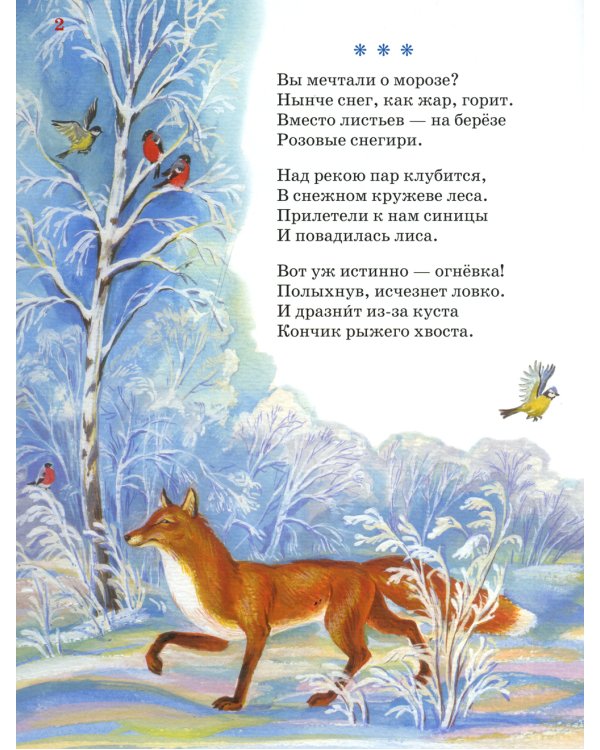 Времена года