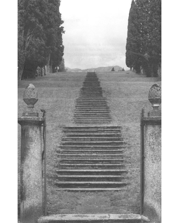 Учебник жизни