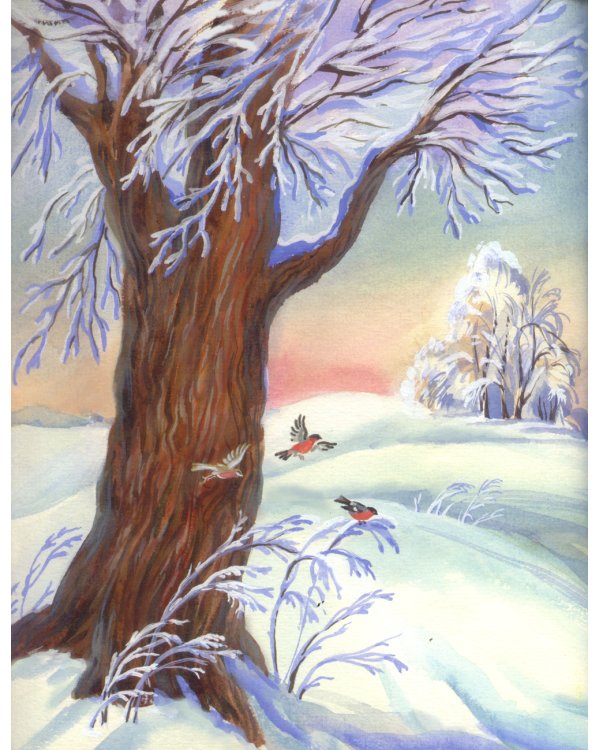 Времена года