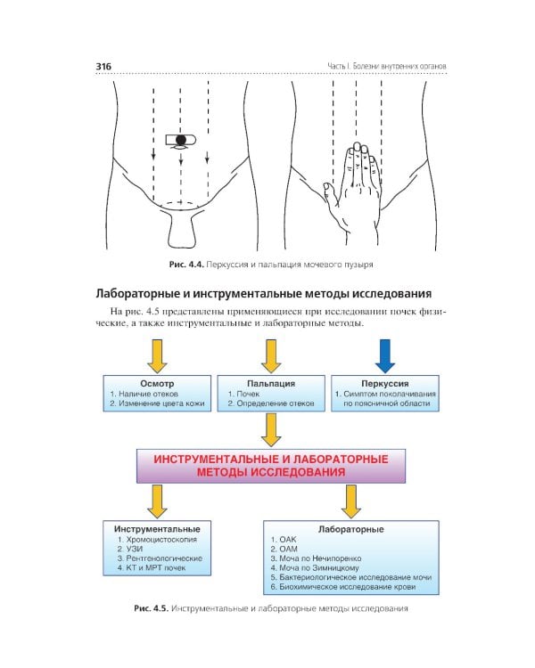 Соматические заболевания, отравления и беременность: Учебник