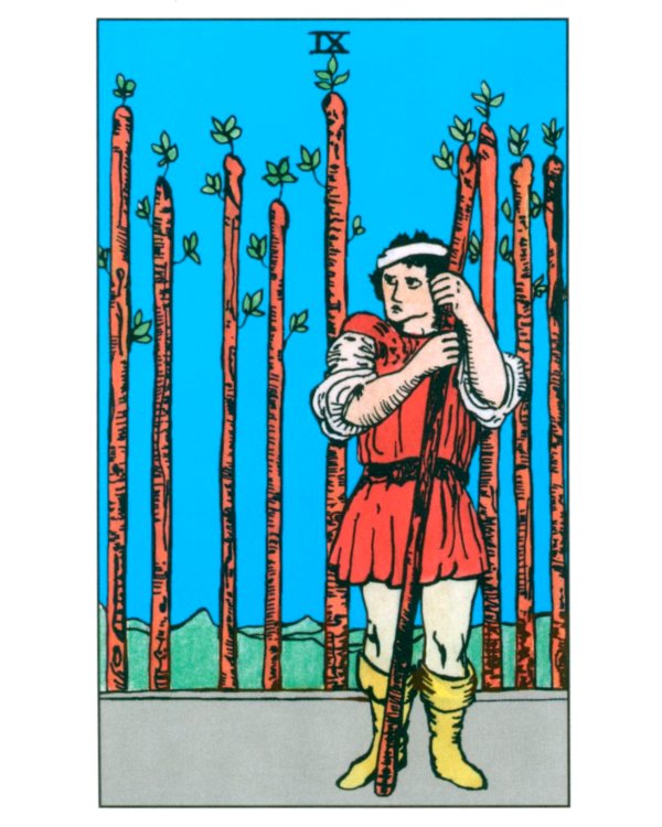 Таро для начинающих с книгой (78 карт + книга. Арт: 50500)