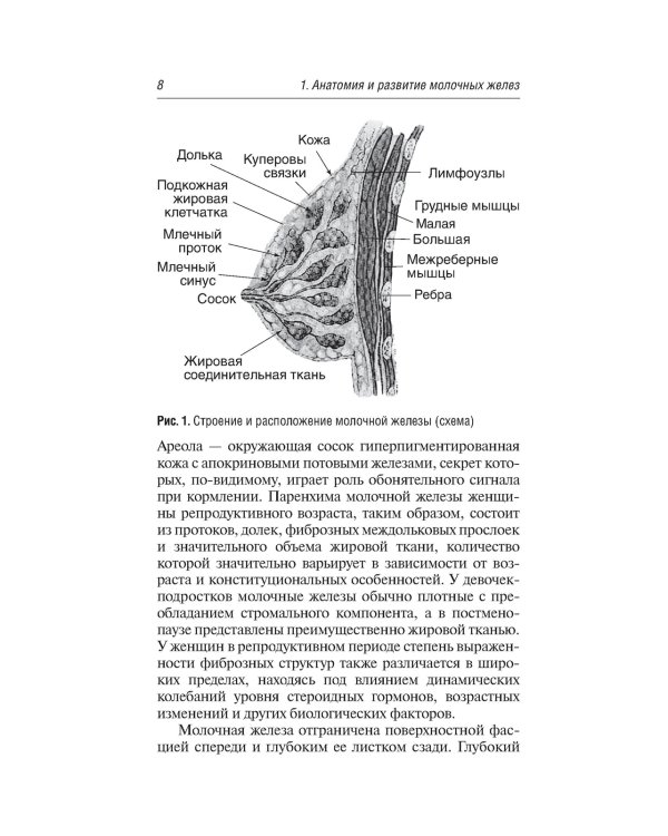 Заболевания молочных желез в гинекологии. 2-е изд., перераб. и доп