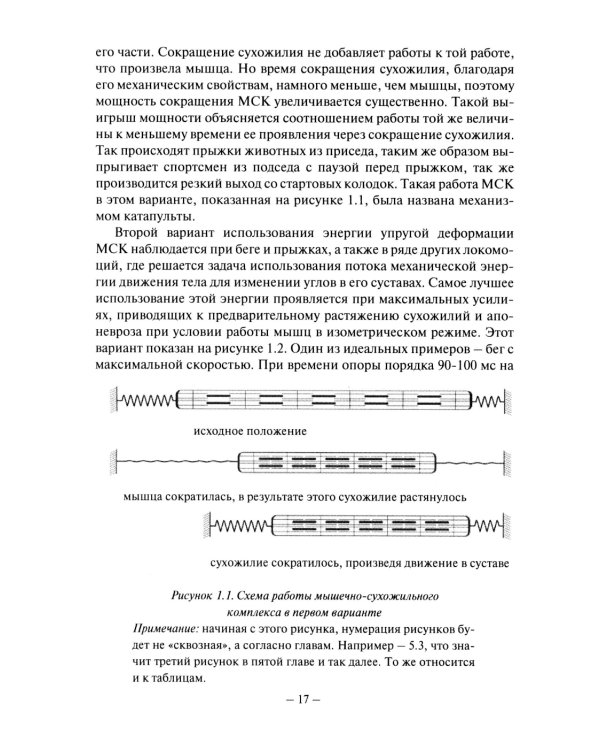 Биомеханика бега. 2-е изд., испр