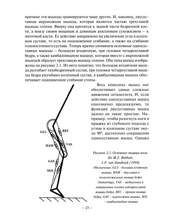 Биомеханика бега. 2-е изд., испр