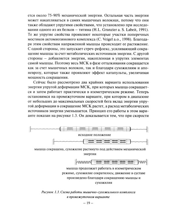 Биомеханика бега. 2-е изд., испр