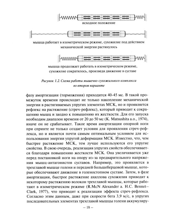 Биомеханика бега. 2-е изд., испр