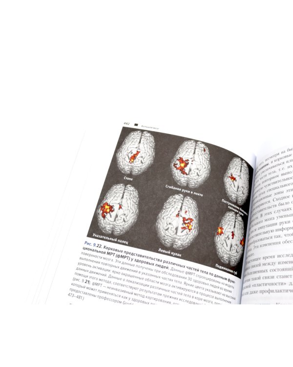 Топический диагноз в неврологии по Петеру Дуусу; Путеводитель по телу (комплект из 2-х книг)