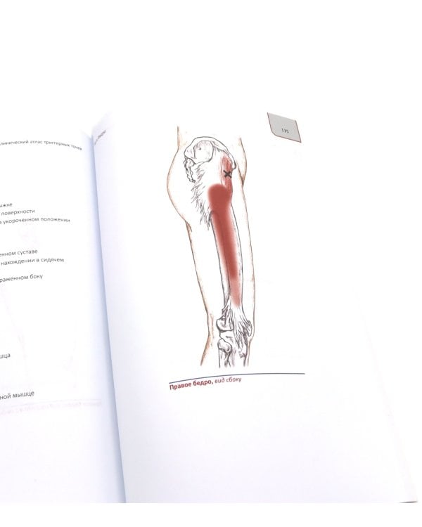 Топический диагноз в неврологии по Петеру Дуусу; Путеводитель по телу (комплект из 2-х книг)