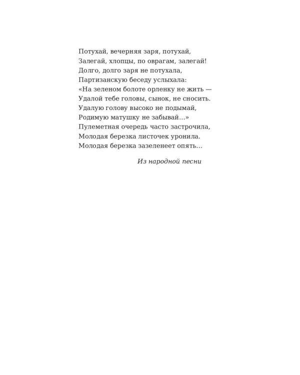Партизаны. Сыновья уходят в бой